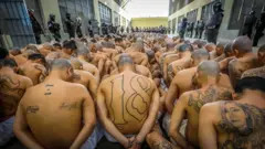 Thousands of tattooed gang members are transferred to a mega-prison in El Salvador as part of the government's crackdown on gang violence.