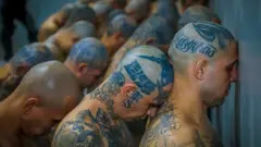 Inmates, many visibly tattooed, await further instructions after arriving at the Center for the Confinement of Terrorism.