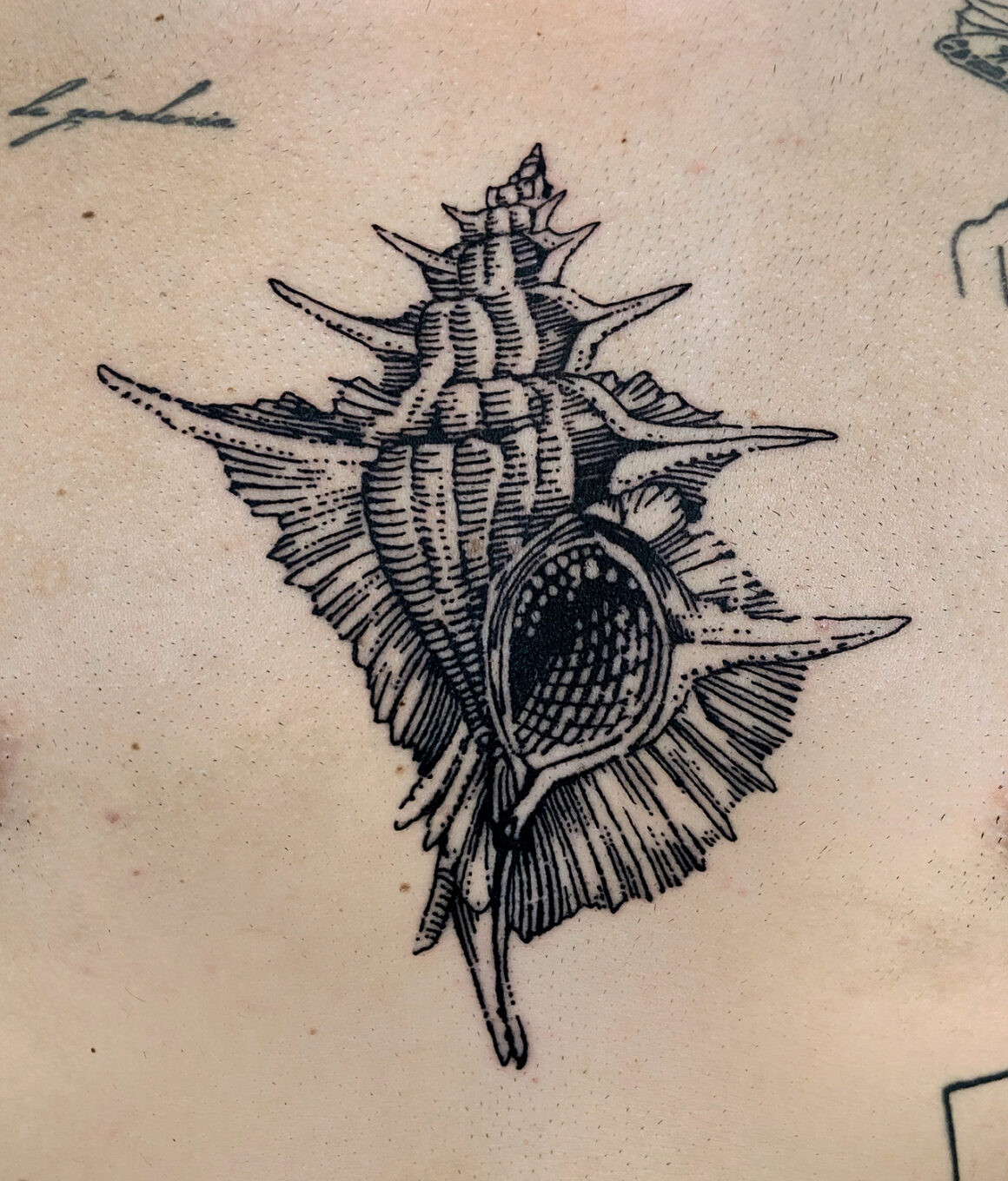 Kelly Rico's tattoo, a rare example of religious iconography in his work, highlighting his general avoidance of such themes in his chaos tattoo style due to personal beliefs.