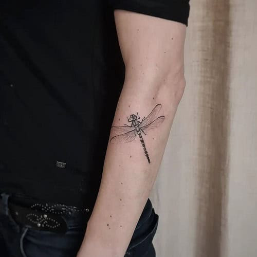 Shimmering 3D dragonfly tattoo with detailed wings and realistic eye, embodying transformation.