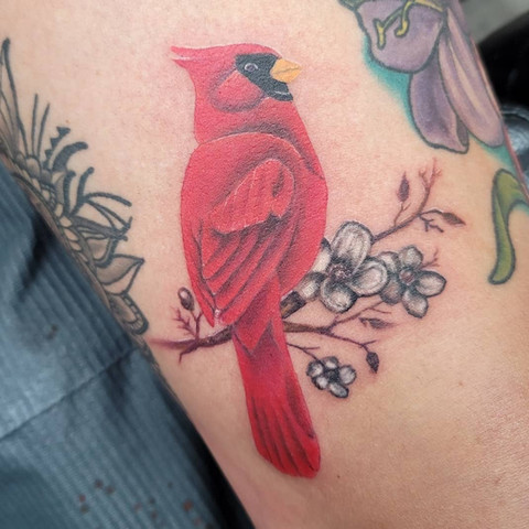 Realistic color tattoo of a cardinal bird on a branch by Joe Dillon