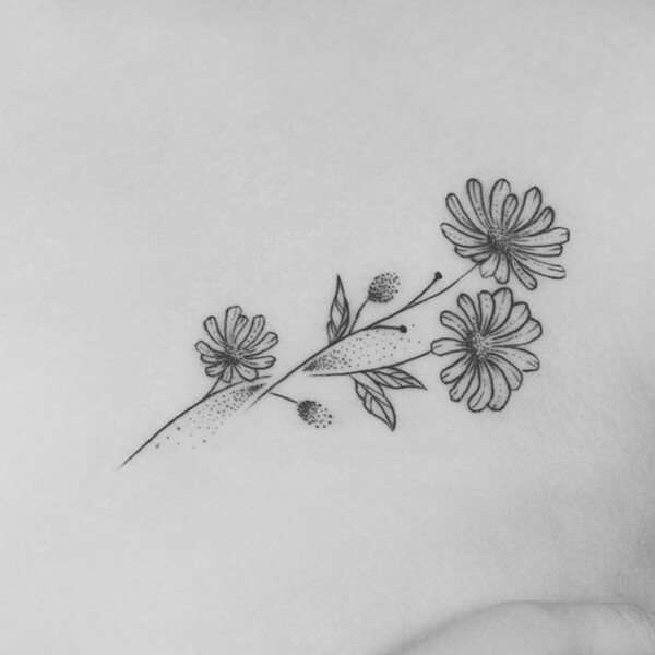 Blackwork style aster flower tattoo with bold black lines and solid shading, on the ribcage.