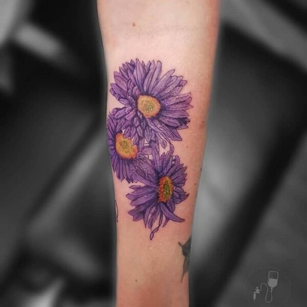 Single needle aster flower tattoo, using ultra-fine needles for incredibly delicate lines and detail, on the wrist.