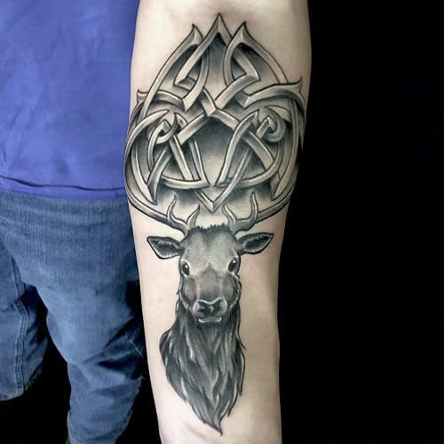 Celtic Animal Tattoo