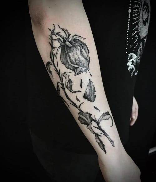 Memorial dead rose tattoo for lost love