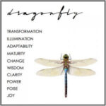 Dragonfly tattoo inspiration