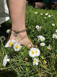 a foot with a dandelion tattoo steps in grass with white flowers