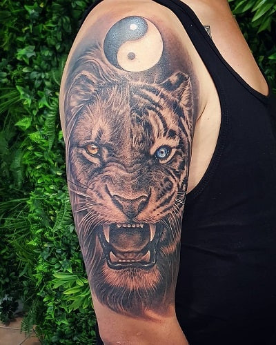 Bold half lion half tiger tattoo merging courage and power