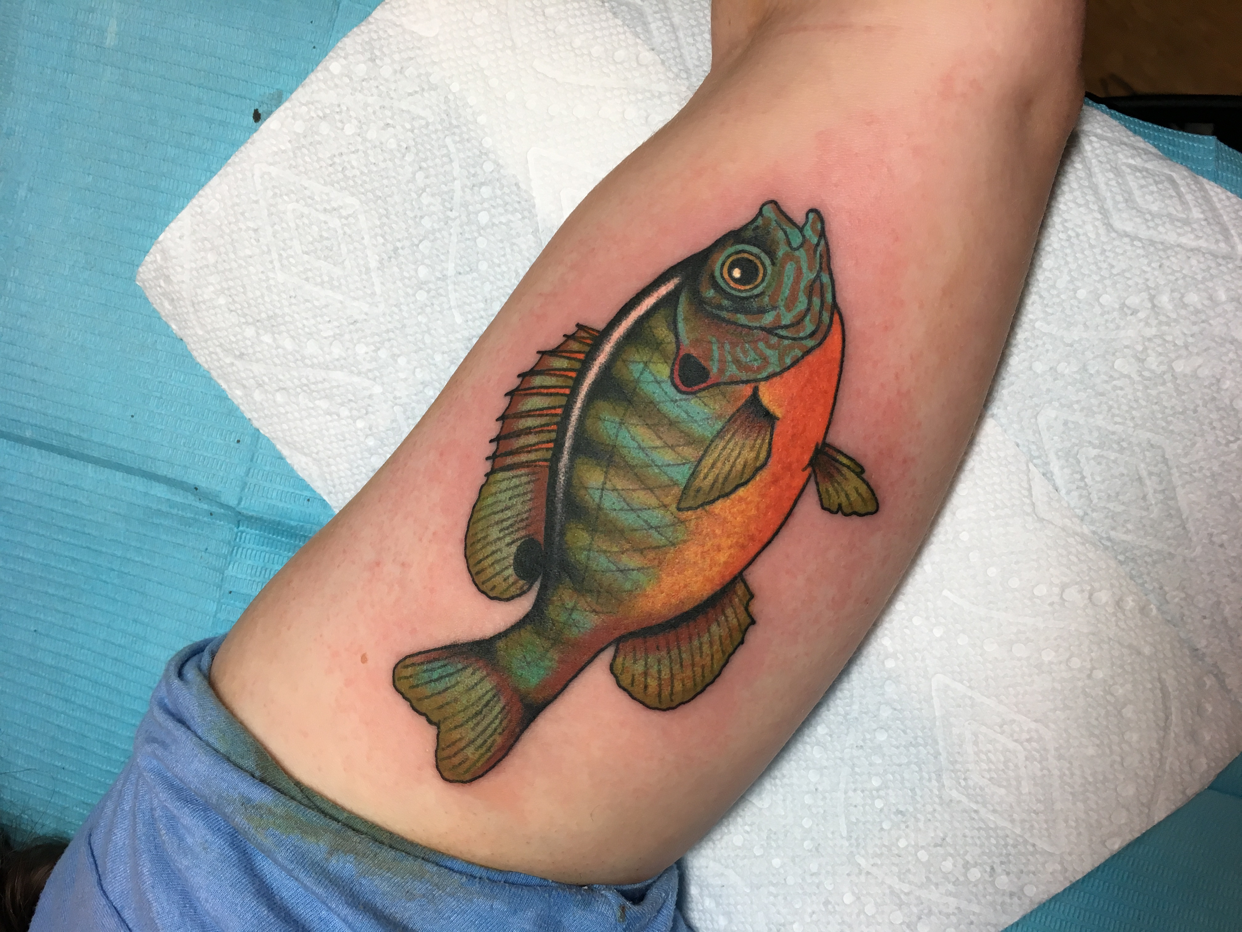 Bluegill fly fishing tattoo, Drew Wilson's favorite fish to ink, known for its vibrant colors.