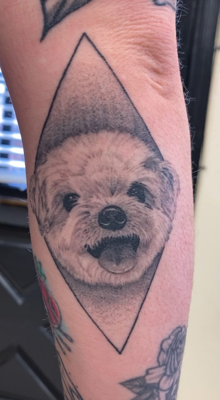 Detailed pet portrait tattoo in black and grey on a forearm by Mike Brown, Stay True Tattoo.