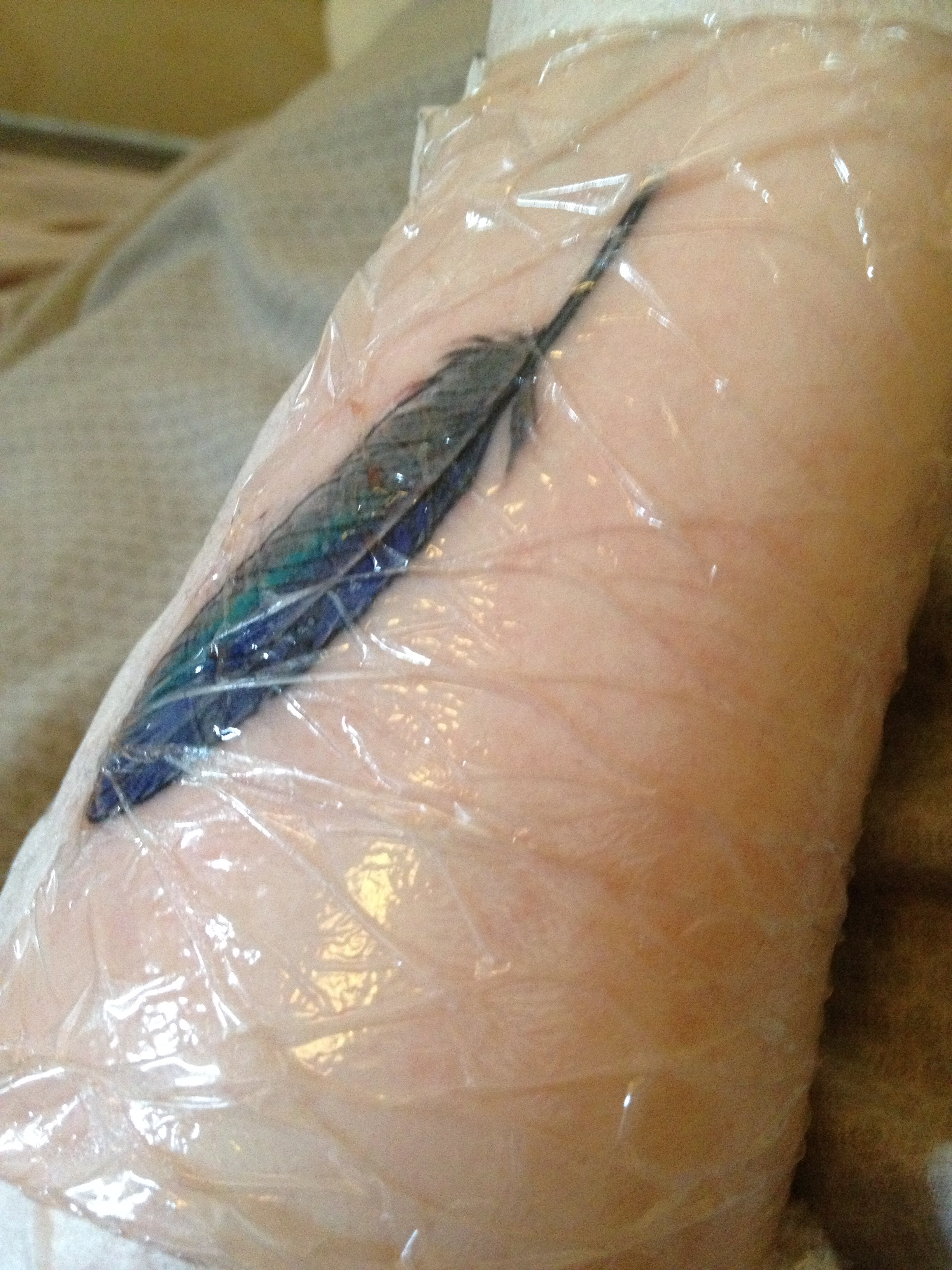 Wrapped feather tattoo on arm with vibrant colors still in wrap