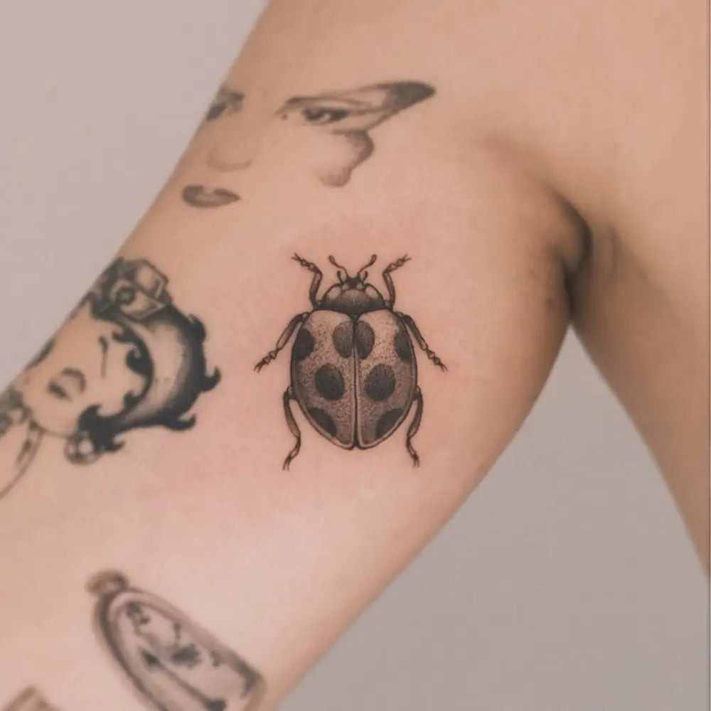 A ladybug tattoo intertwined with Celtic knotwork, representing eternity and interconnectedness, created by Ginger_jeong