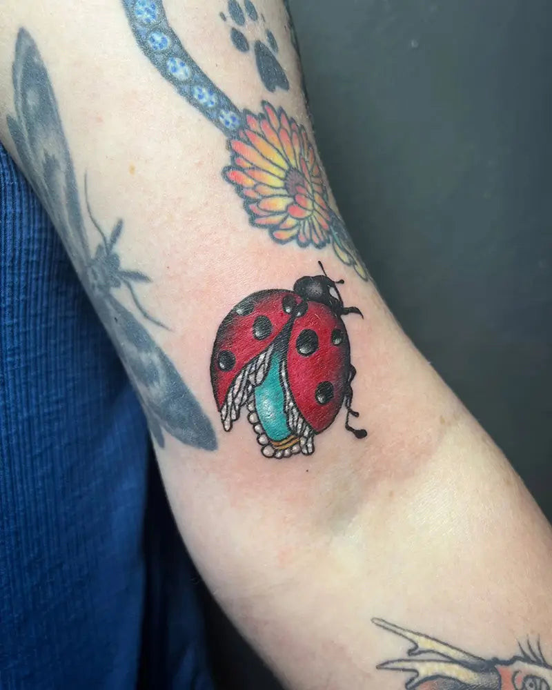 A collection of ladybug tattoos showcasing different styles and placements, created by Emi