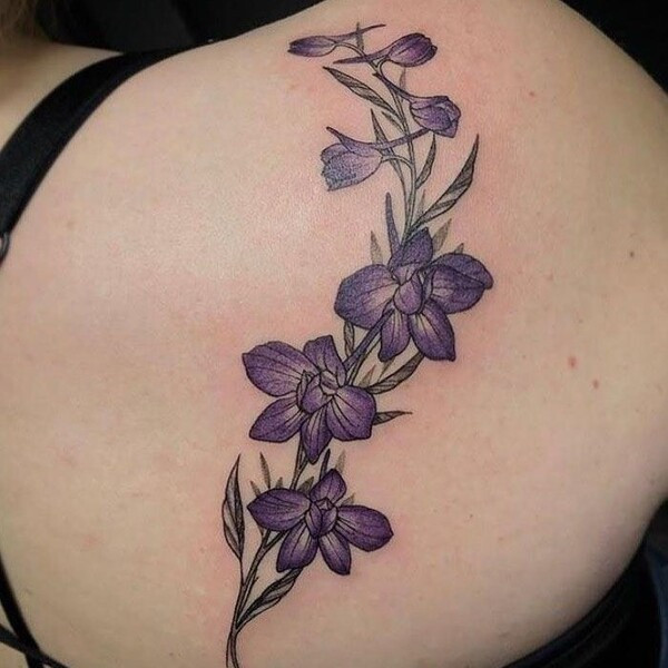 Best Larkspur Tattoo Ideas