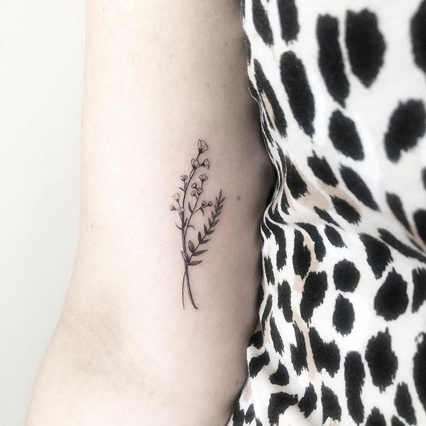 Best Larkspur Tattoo Ideas