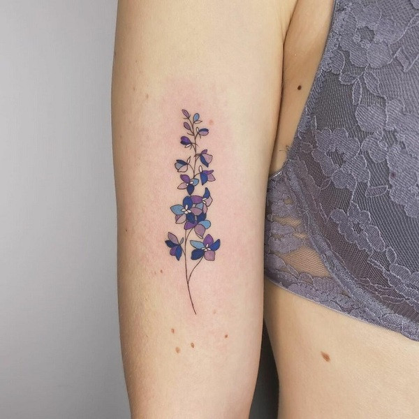 Best Larkspur Tattoo Ideas