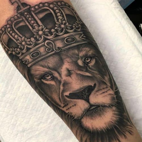 Realistic lion portrait tattoo in black and grey ink on a man's forearm