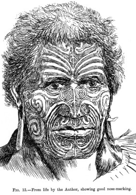 19th-century sketch of Maori facial tattoo patterns, highlighting the artistry and depth of traditional Moko designs.