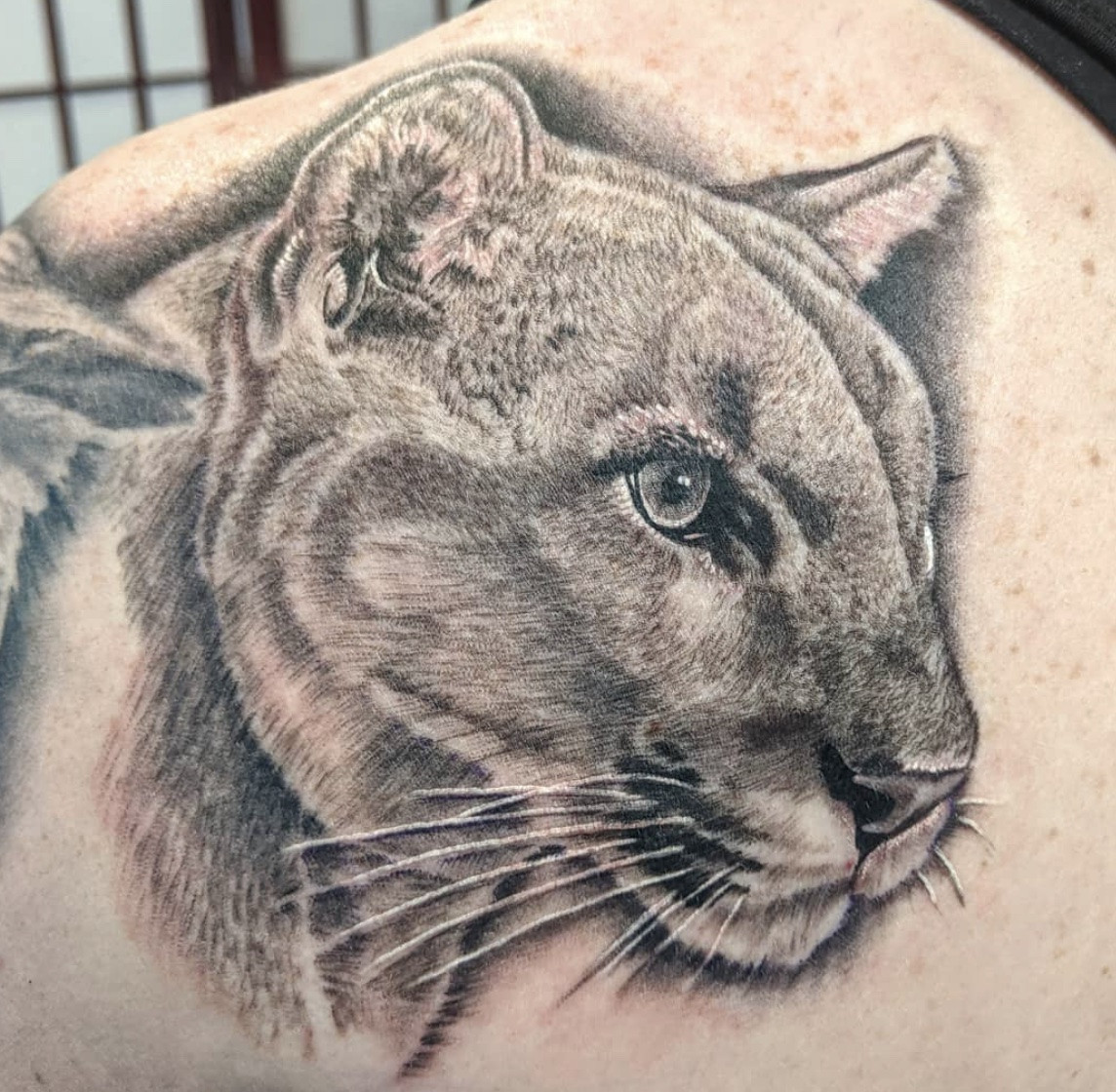 Mountain Lion Tattoo, puma or cougar design, stealthy and unique