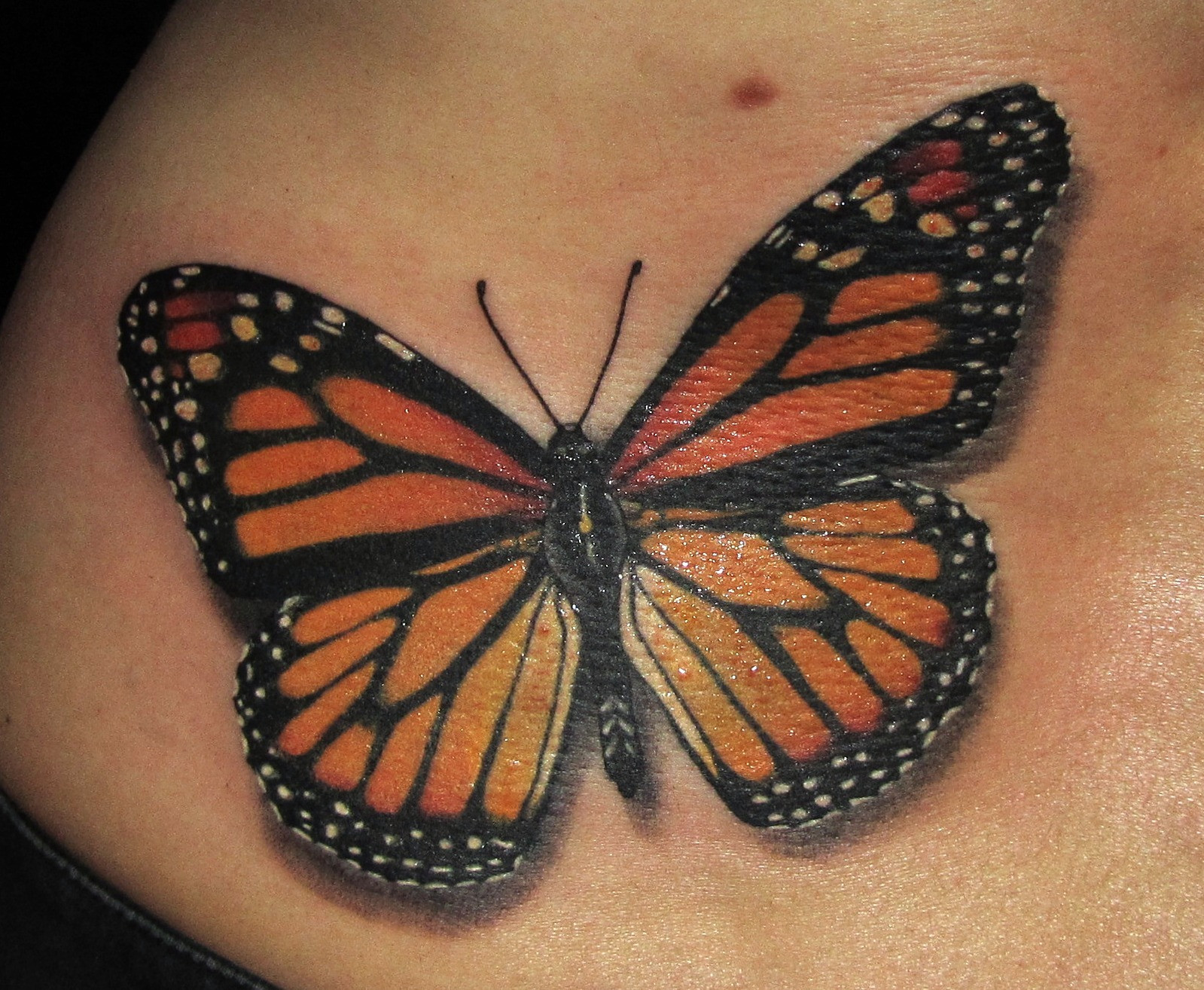 Simple and delicate line art butterfly tattoo
