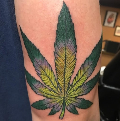 Watercolor pot leaf tattoo on a man's arm