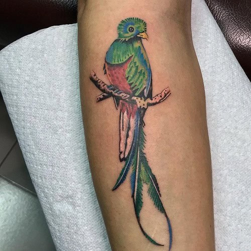 Exotic Quetzal bird tattoo for men, symbolizing untamed freedom and unique beauty