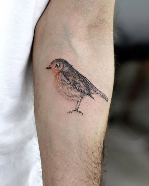 Hopeful robin bird tattoo for men, symbolizing rebirth, new beginnings, and spiritual growth