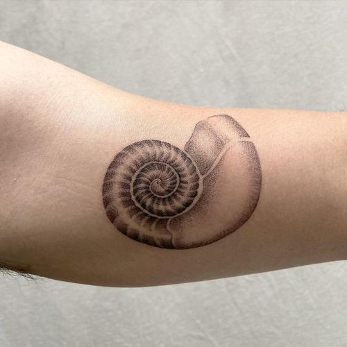 Two seashell tattoos on men, one on the forearm with a realistic seashell and another on the arm with a minimalist seashell outline.