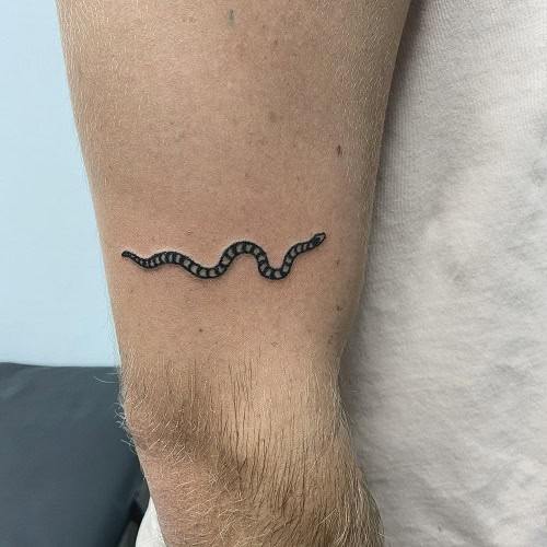 Simple snake tattoo on arm, minimalist black line art design for men.