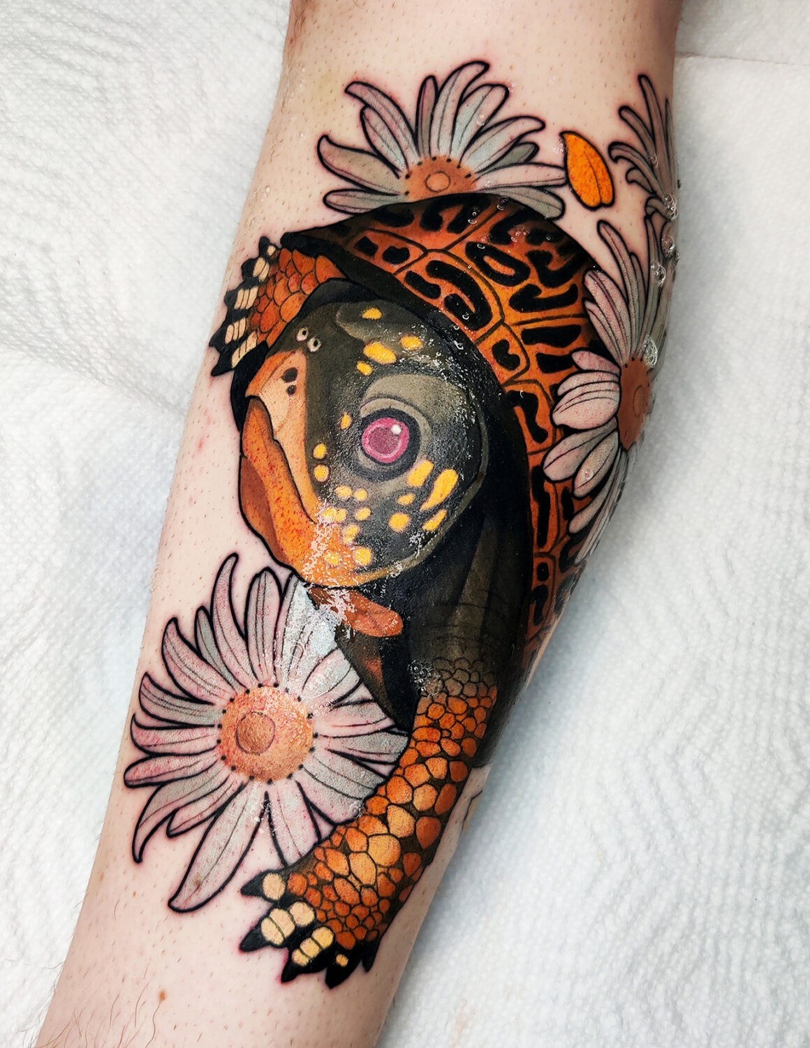 Illustrative snake tattoo by Bara, showcasing his Neo Traditional style at Grand Reaper Tattoo