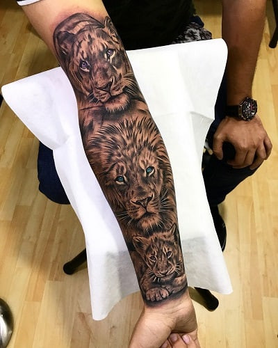 Dominant tiger and lion tattoo combining apex predators