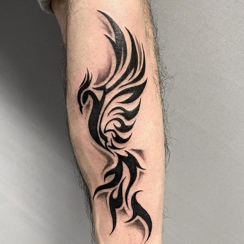 Tribal phoenix tattoo on a man's chest, showcasing a phoenix with bold black tribal lines.