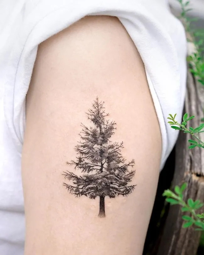 alt text: Detailed tree tattoo on back, symbolizing growth, stability, and enduring strength