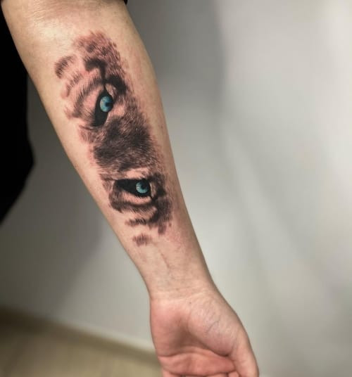A wolf eyes tattoo on a man's forearm, focusing on the piercing gaze of wolf eyes with detailed rendering, symbolizing focus, determination, and intense observation.