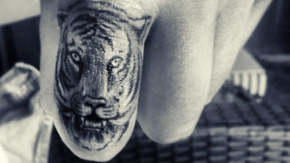 Veterinary tattoo indicating rabies vaccination