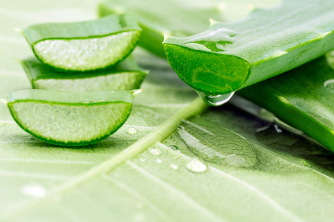 Aloe