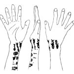 Chimú mummies with zoomorphic and geometric tattooing, ca. 1200 A.D featuring fish and harpoon points