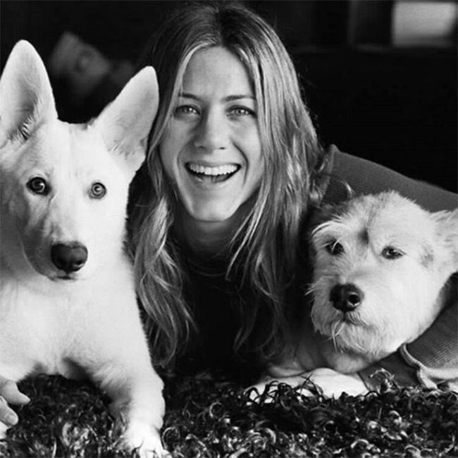 jennifer aniston dogs insta