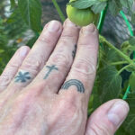 Pauley Perrette's hand tattoos featuring a rainbow, cross, and upward arrow, showcasing her collection of meaningful ink