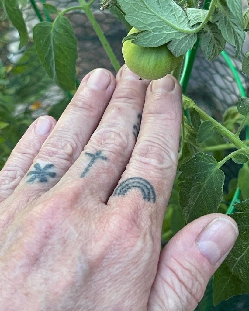 Pauley Perrette's hand tattoos featuring a rainbow, cross, and upward arrow, showcasing her collection of meaningful ink