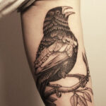 Traditional eagle bicep tattoo for men with bold outlines