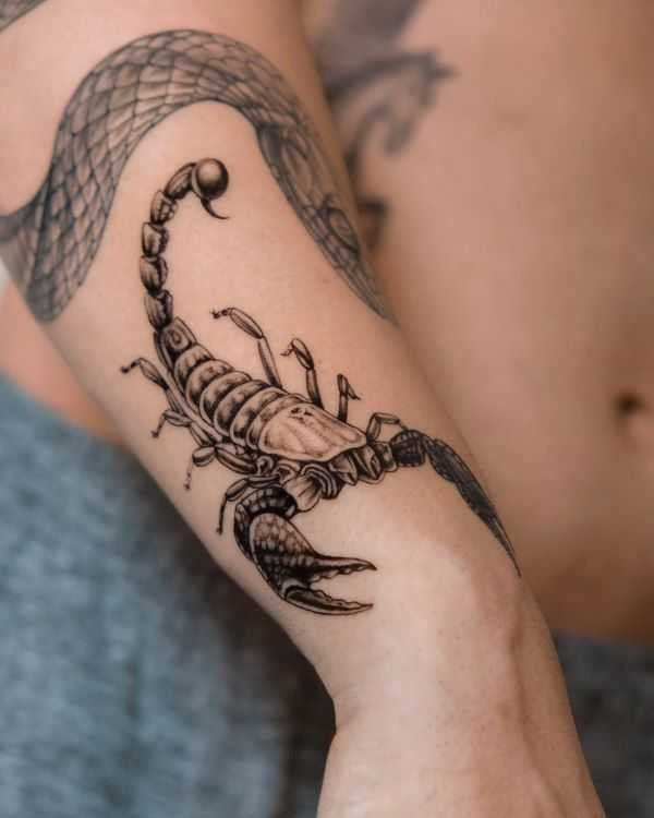 Forearm Scorpion Tattoo | ramaktas