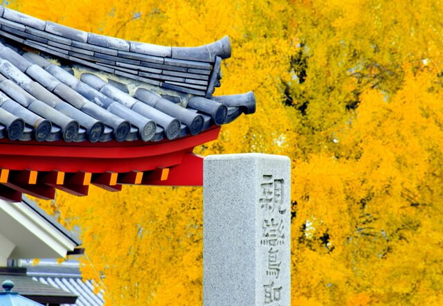 Kansai during fall