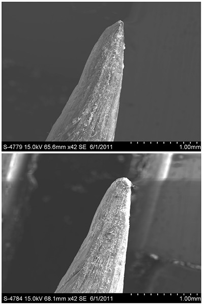 exp-sem
