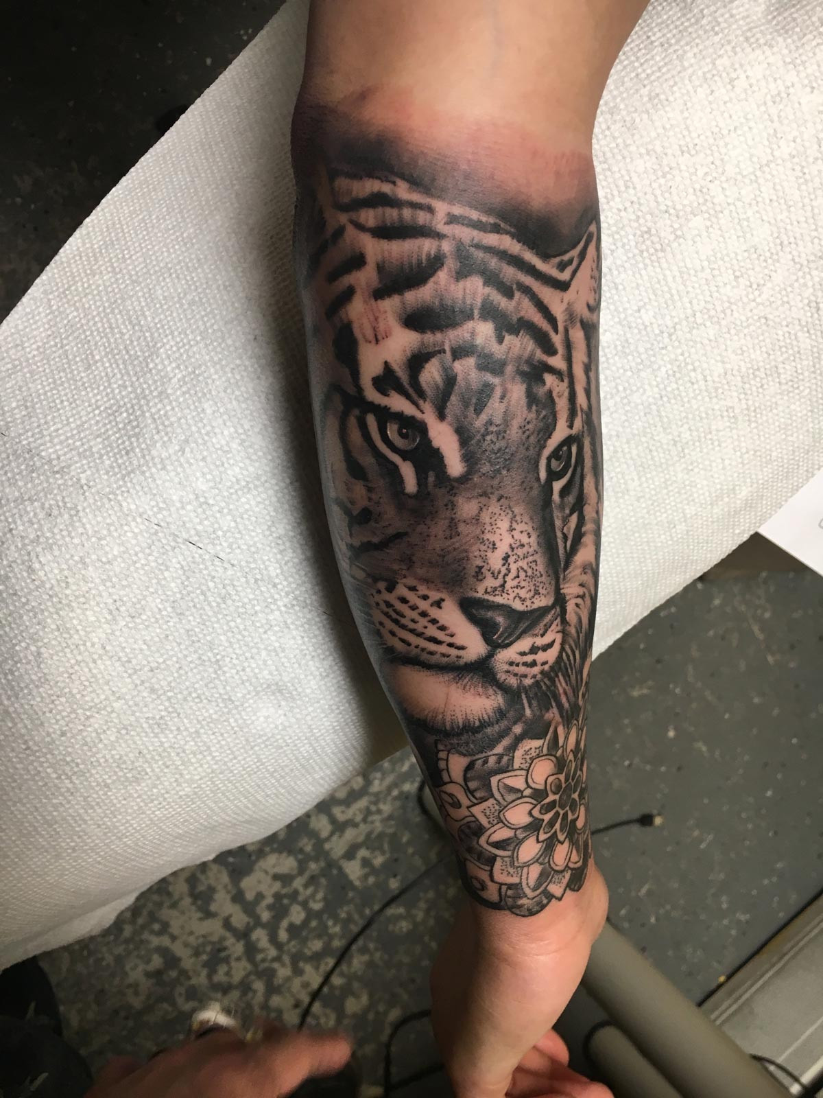 Realism tiger tattoo in black ink - Artist: Breyner Aalarcon