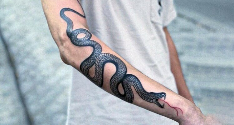 Snake