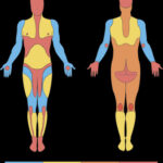 colored tattoo pain chart