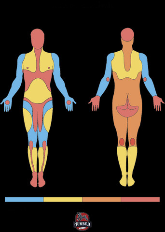 colored tattoo pain chart