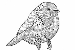 Sparrow Tattoo