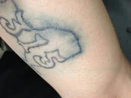 Example of a tattoo cover-up successfully hiding an old design